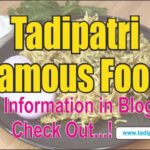 Tadipatri Famous Food